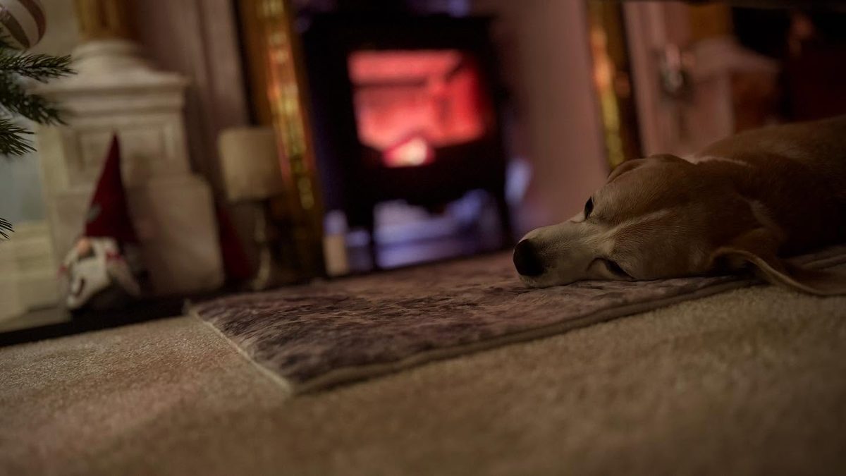 By the fireside, December 2024 (1/1)